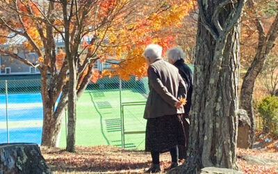 649CFAB5-363F-4118-A327-1E4BA9A71B6C_1_105_c